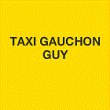 taxi-gauchon-guy