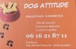 dog-attitude