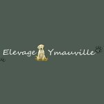 elevage-d-ymauville