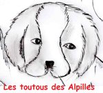 les-toutous-des-alpilles