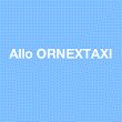 magali-recouvreux-allo-ornex-taxi