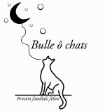 bulle-o-chats