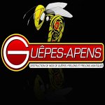 guepes-apens-81