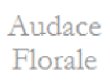 audace-florale-et-gatsby