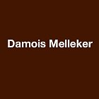 damois-melleker