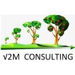 v2m-consulting