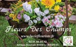 fleurs-des-champs