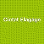 ciotat-elagage