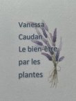 caudan-vanessa