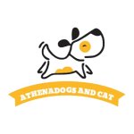 athenadogsandcat