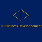 ld-business-developpement-france